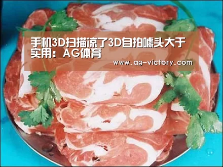 手机3D扫描凉了3D自拍噱头大于实用:AG体育(图1) AG足球
