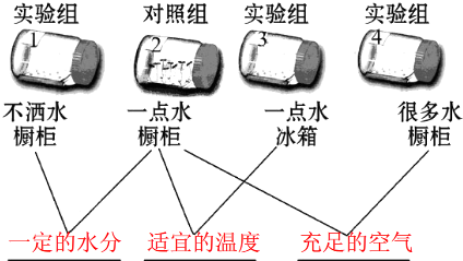 【AG足球】妇科检查四大项目不能少(图1) AG篮球
